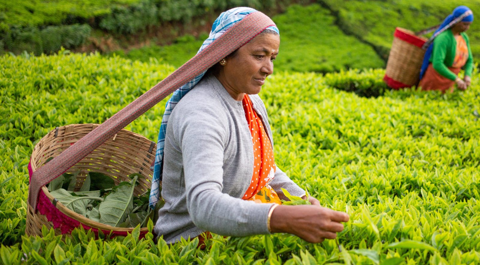 Featured banner image