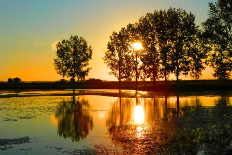 Operaciones eficientes