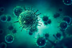Image for Enfermedades Infecciosas