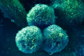 Image for Oncología