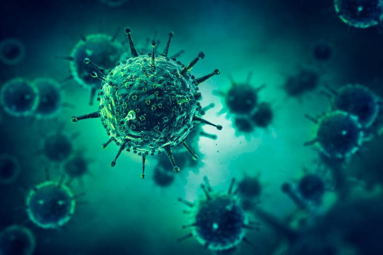 Enfermedades infecciosas