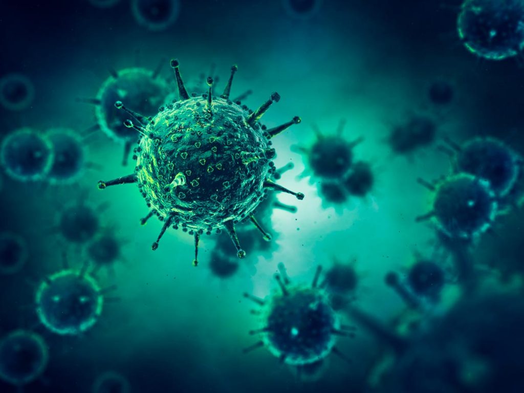 Patologías que provocan una infección en el organismo