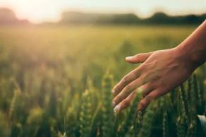 Recomendaciones para adoptar hábitos de vida saludables