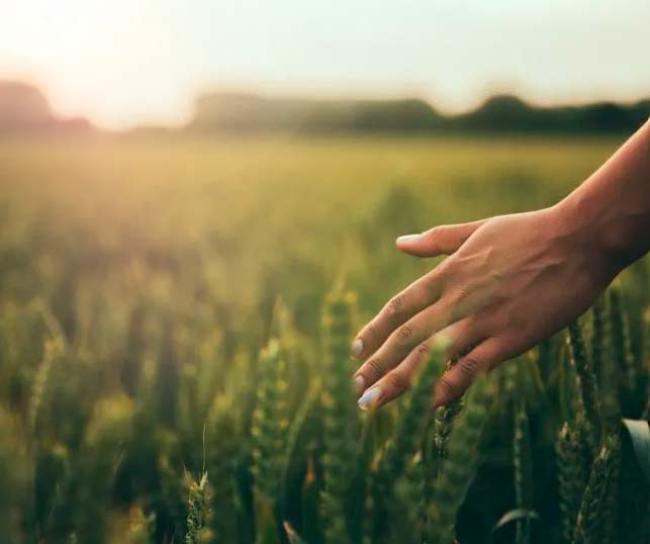 Recomendaciones para adoptar hábitos de vida saludables