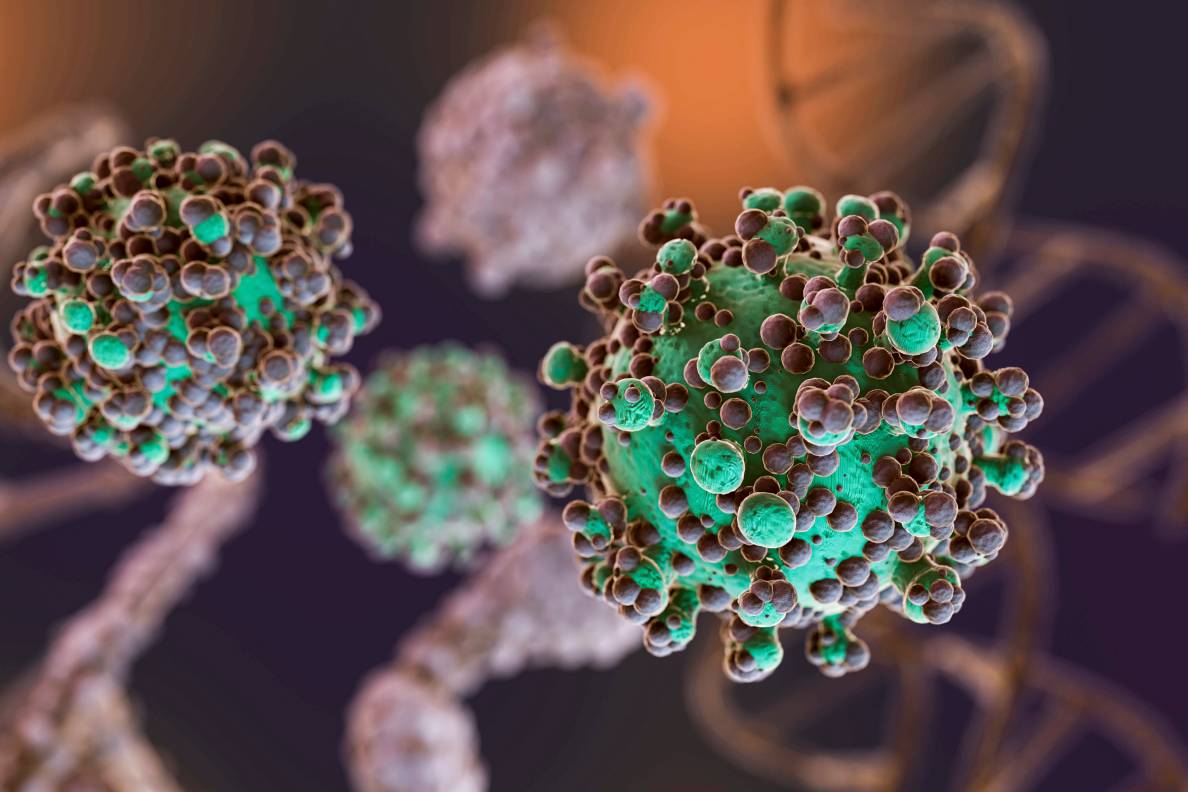 Virus del VPH